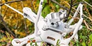 Reckless Flying - Catch 22